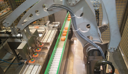 輕工業(yè)營收突破16萬億，驅(qū)動食品機械行業(yè)邁向高質(zhì)量發(fā)展